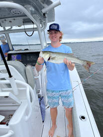 Striped Bass Season back in Full Swing!
