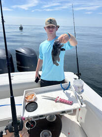 Avalon Report Photo 1