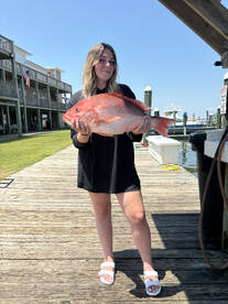Gulf Shores Report Photo 1