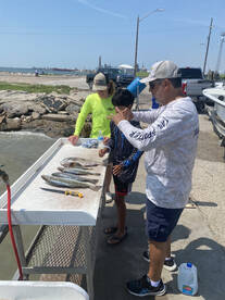 Galveston Report Photo 1