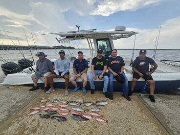 St. Simons Island Report Photo 2