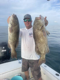 Gag Grouper season starts sept.1st!