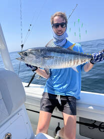 South Kingstown Report Photo 2