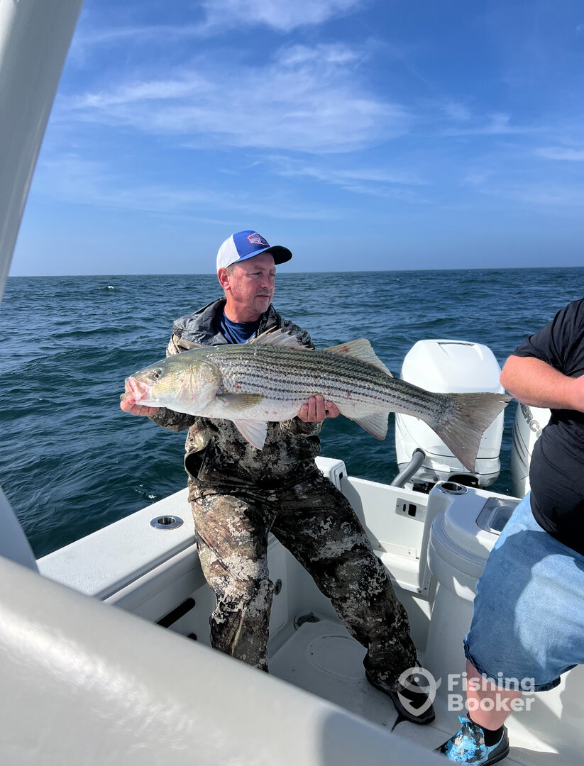 South Kingstown Report Photo 0