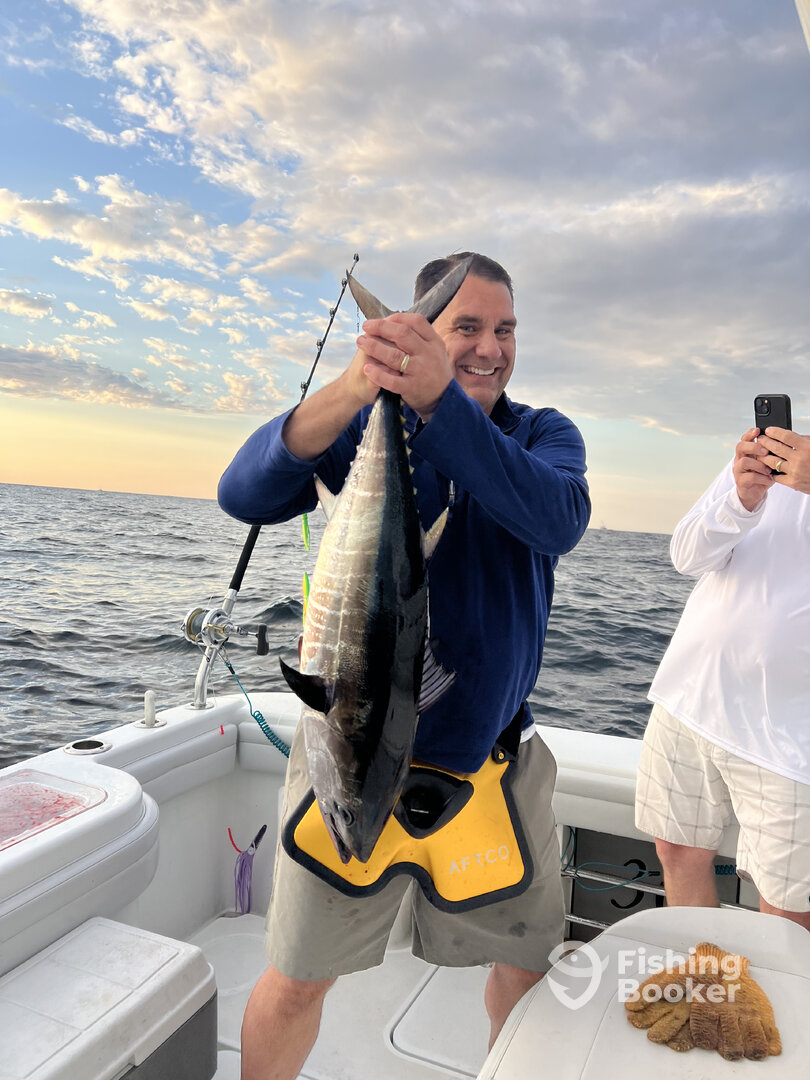 South Kingstown Report Photo 0