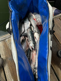 Warrenton Report Photo 1