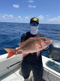 Reef is super hot right now !!