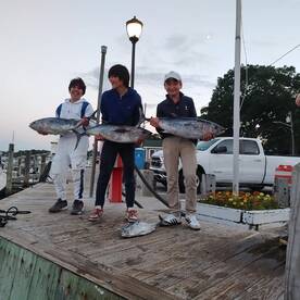Mastic Report Photo 2