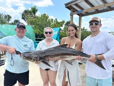 Huge Cobia and lane snapper  