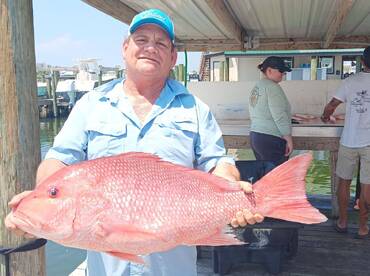 Orange Beach Report Photo 1