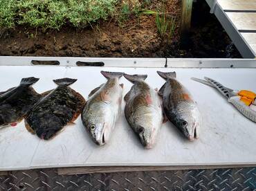 Murrells Inlet Report Photo 1