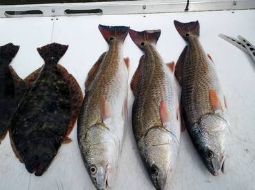 Murrells Inlet Report Photo 2