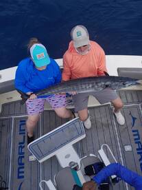 Cabo San Lucas Report Photo 1