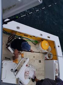 Wanchese Report Photo 2