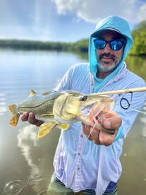 Palmetto Report Photo 1