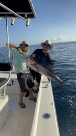 Sailfish bonita and kings