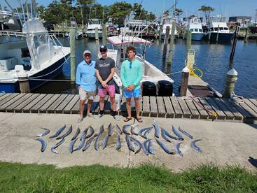 Better weather, at last!