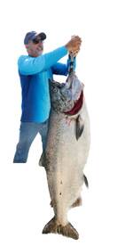 King Salmon best by far in last 15 years