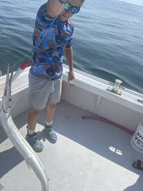 Something you dont see every day 