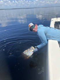The tarpon are fired up!!