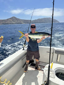 Limits of Yellowtail again