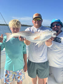 The bite has been on fire if you are loo