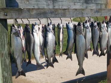 Awesome fishing in Frankfort./Elberta!