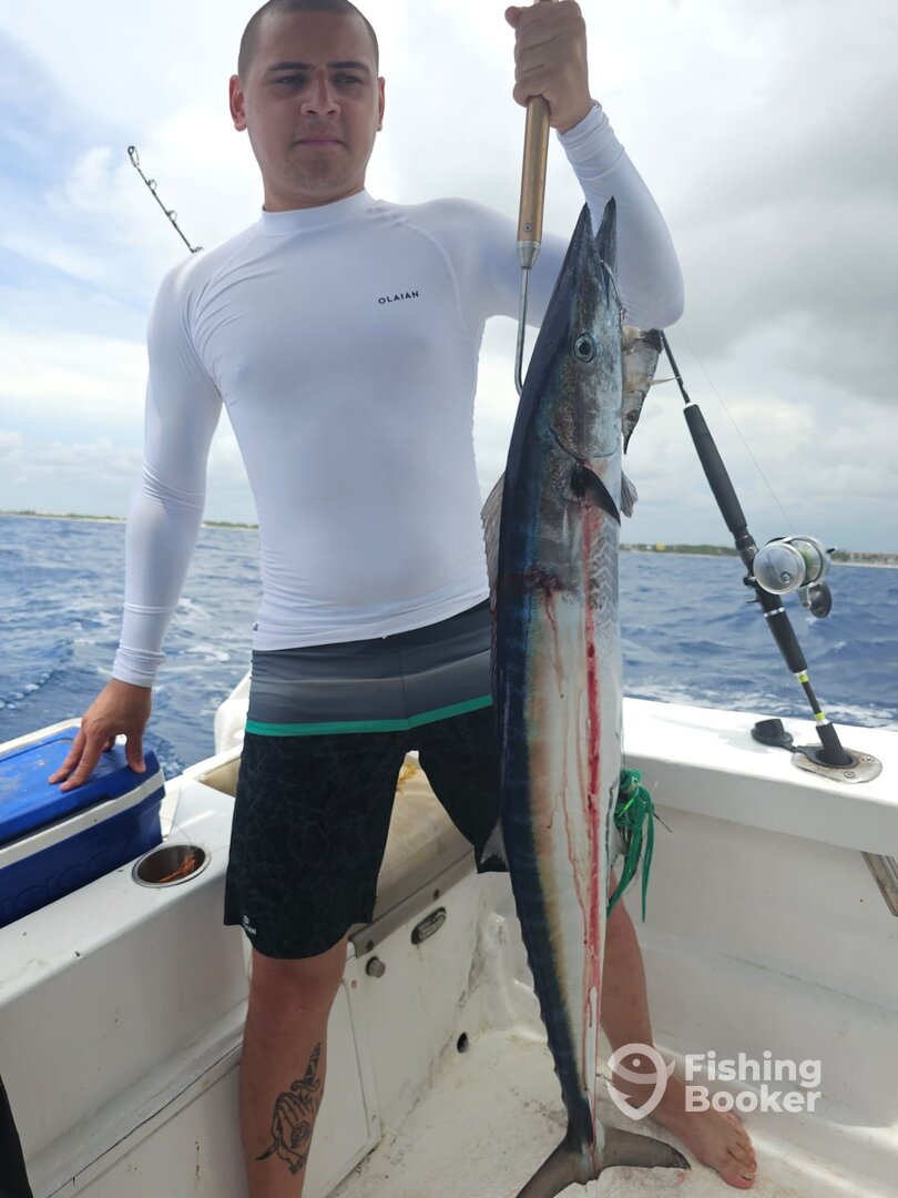 Playa Del Carmen Report Photo 0