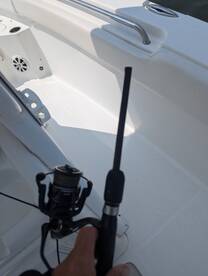 Fluke fishing