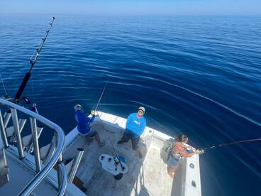 White marlin madness!!!!!!