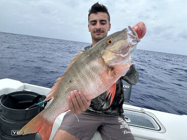 Mutton Snapper Action is Hot!