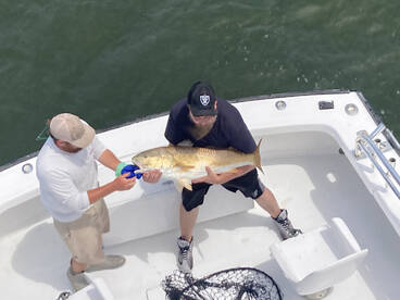Nags Head Report Photo 2