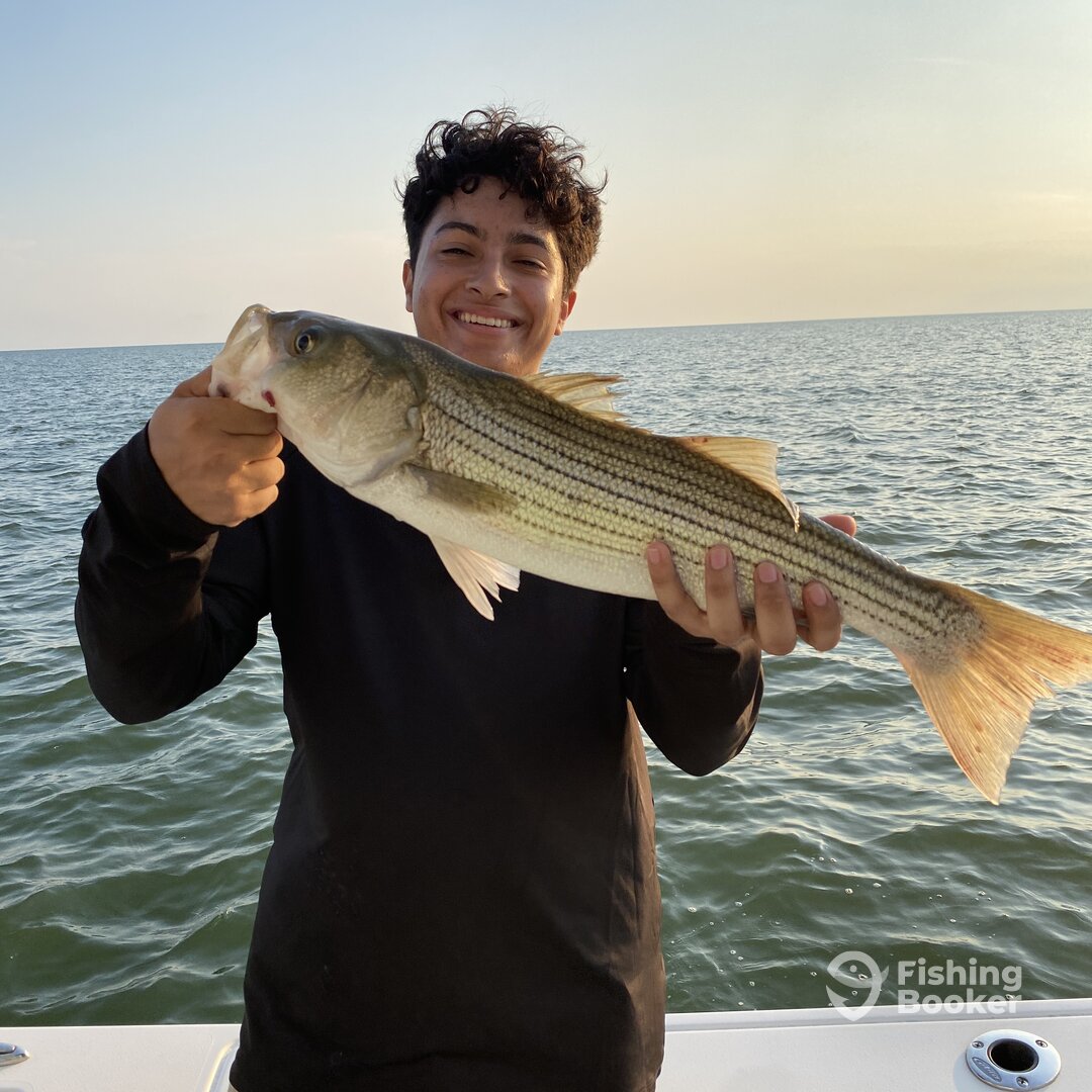 Nanticoke Report Photo 0