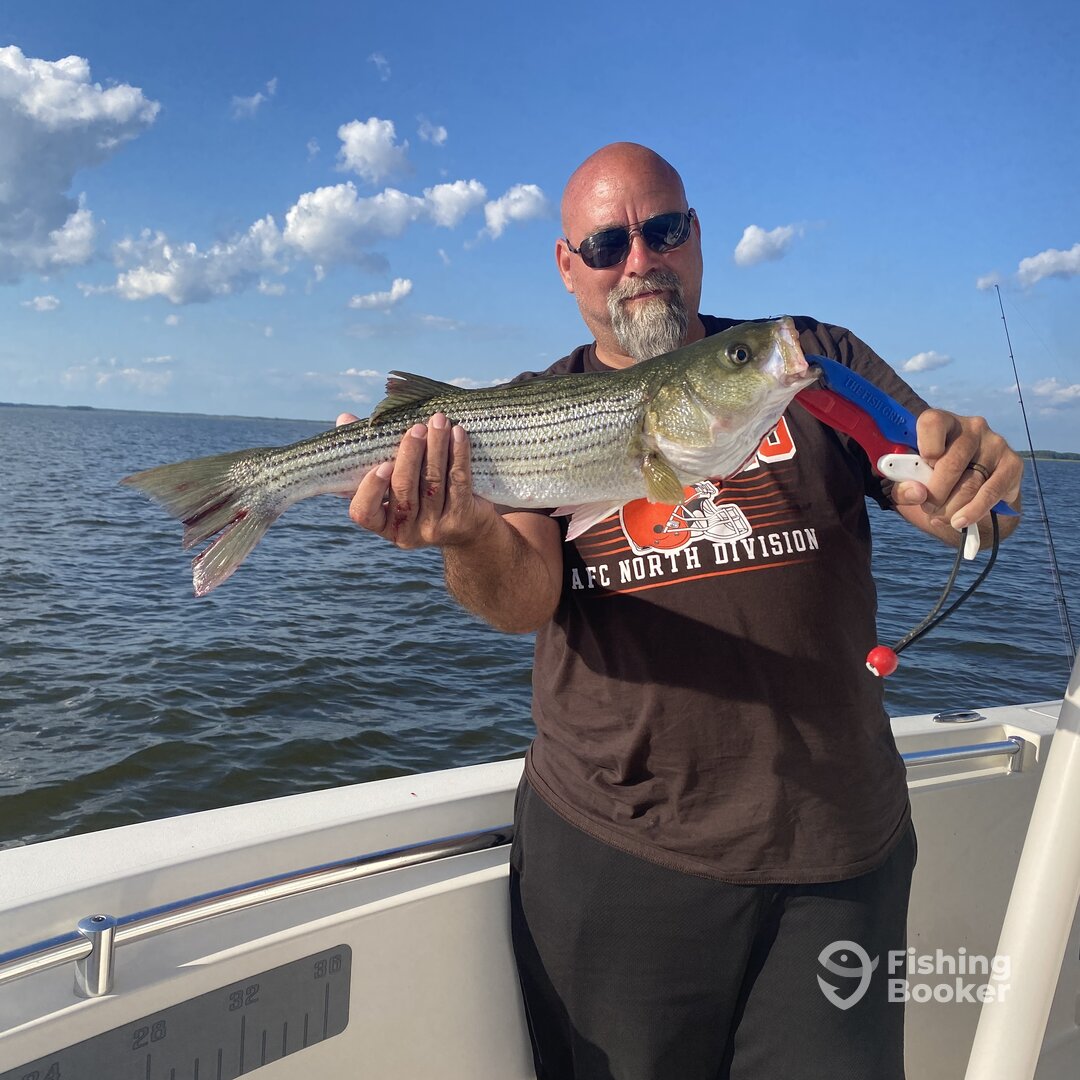 Nanticoke Report Photo 0
