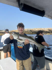 Rockport Report Photo 2