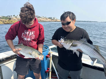 Rockport Report Photo 1