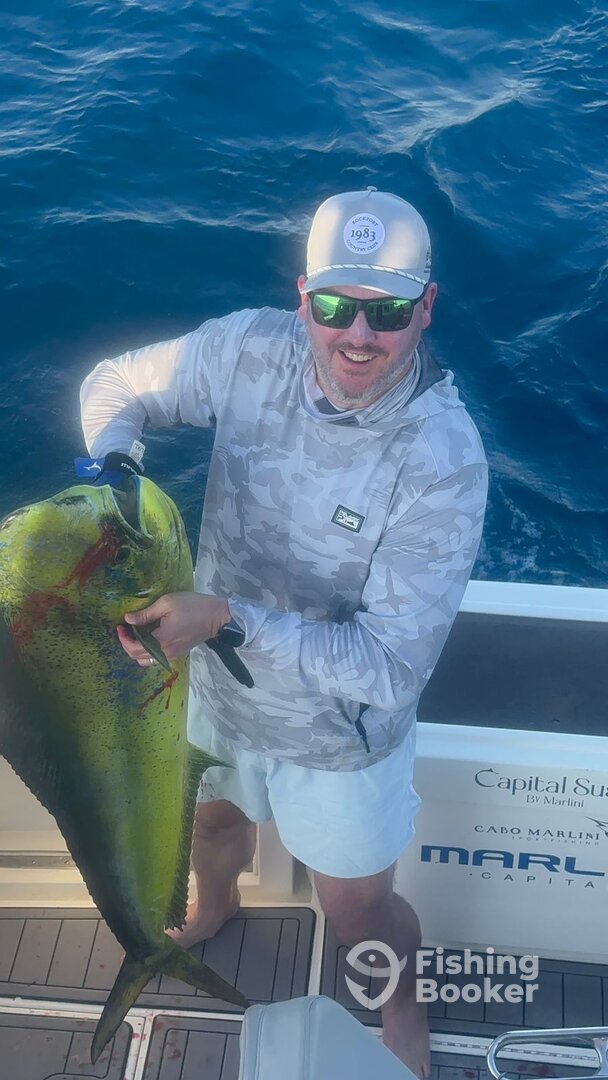 Cabo San Lucas Report Photo 0
