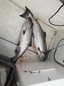 Bamfield Report Photo 1