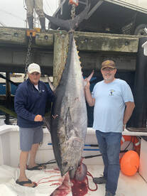 South Portland Report Photo 2