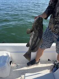 September targets aquired 