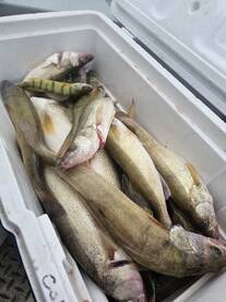 Lakeside Marblehead Report Photo 2