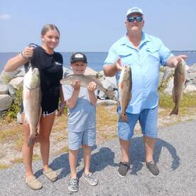 Manteo Report Photo 2