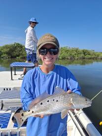 Redfish,Grunts and mangrove snapper