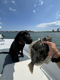 Tons and tons of fish this week, you nam