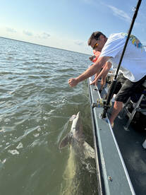 Brigantine Report Photo 2