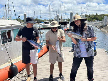 Haleiwa Report Photo 2