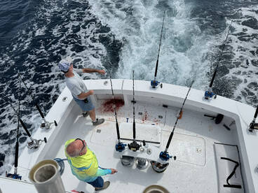 Ocean City Report Photo 1