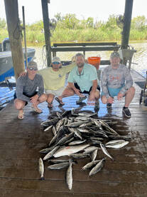Theriot Report Photo 1