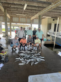 Theriot Report Photo 3