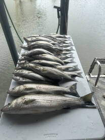 Pottsboro Report Photo 1